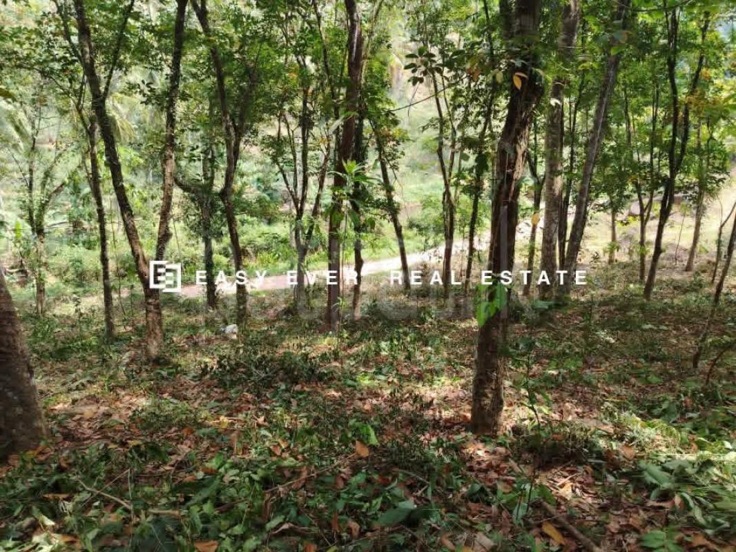 Residential Land for Sale in Kaleliya