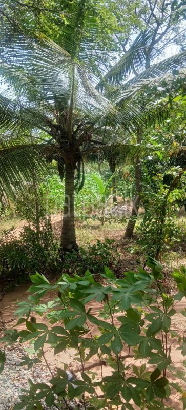 Agricultural Land for Sale in Kataragama