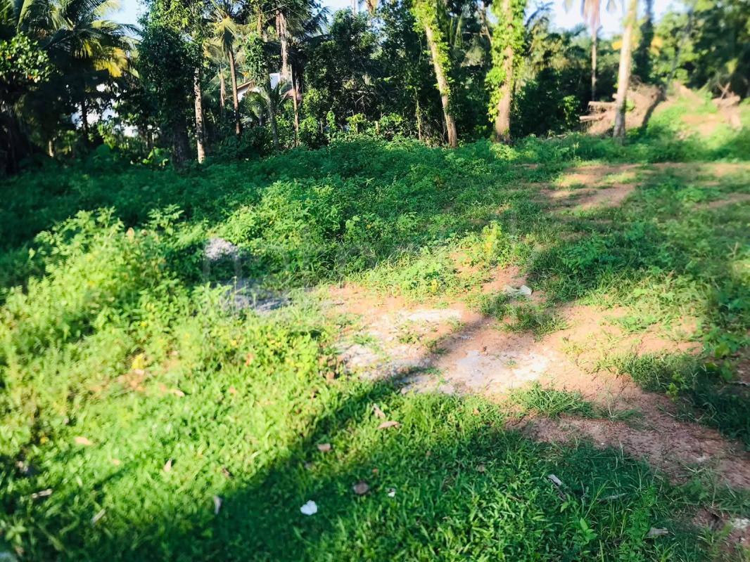 Residential Land for Sale in Kadawatha ads-image-1