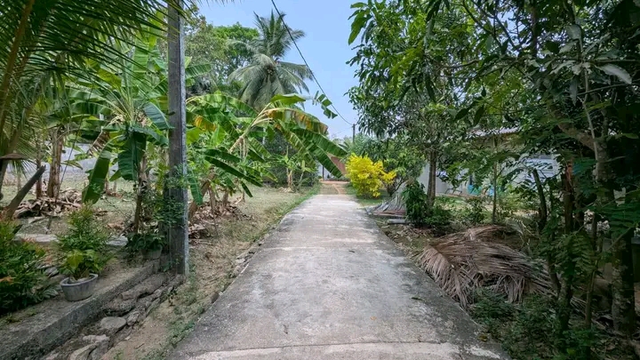 Commercial Land for Sale in Yakkala