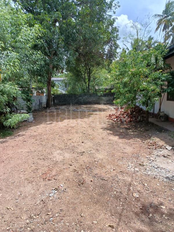 premium-listing-image