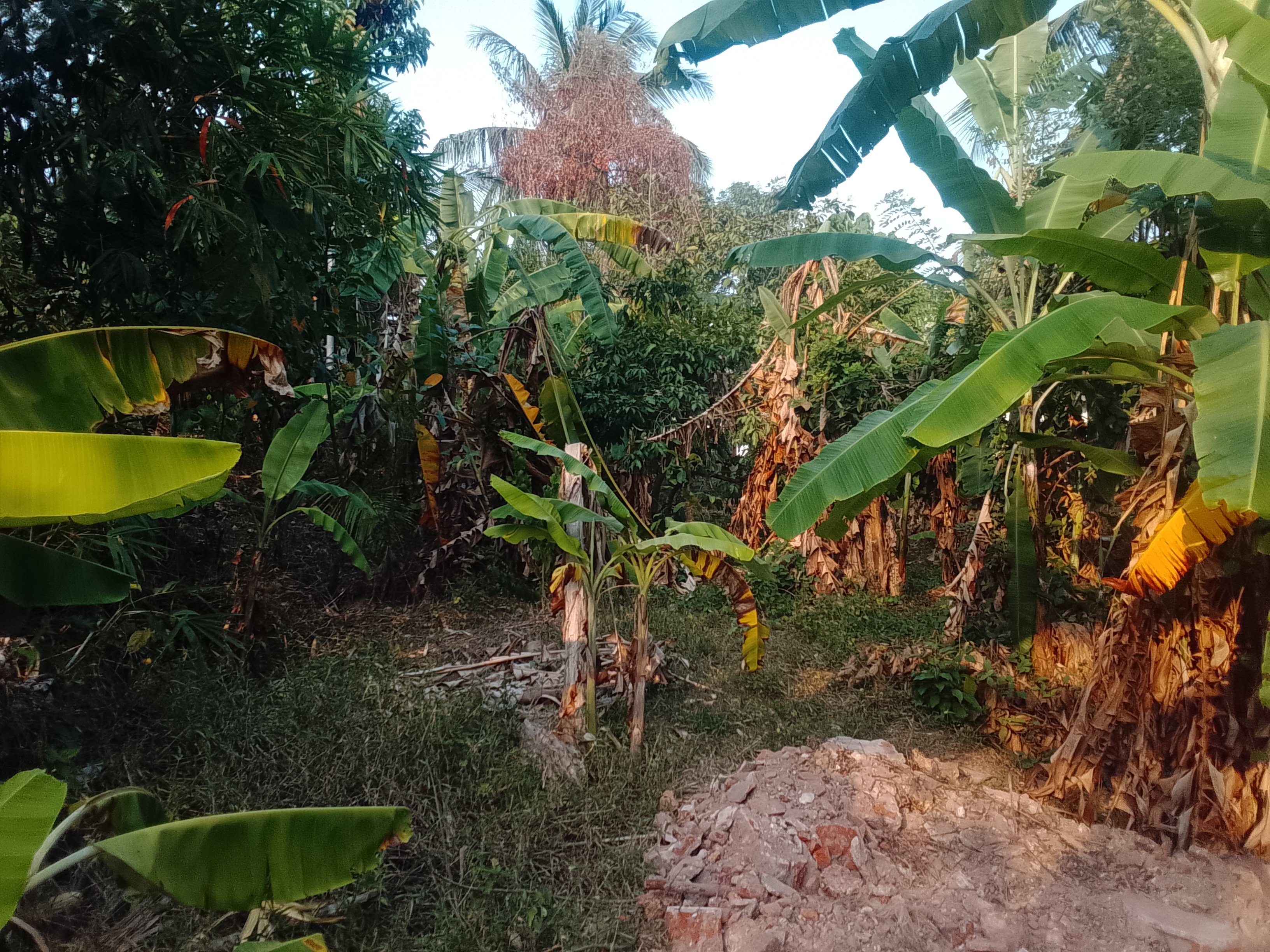 Residential Land for Sale in Kelaniya