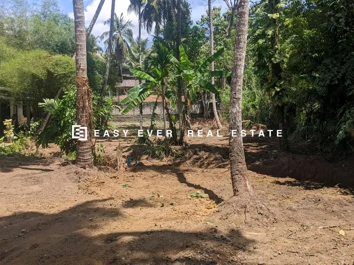 Commercial Land for Sale in Minuwangoda