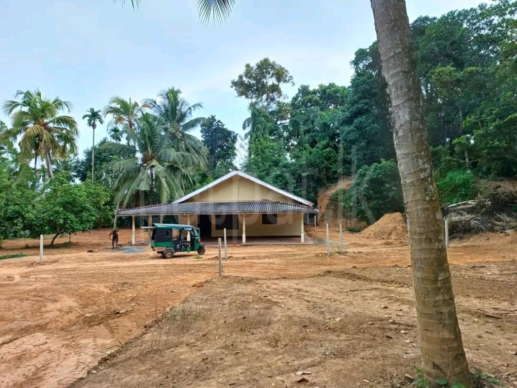 Residential Land for Sale in Ridigama