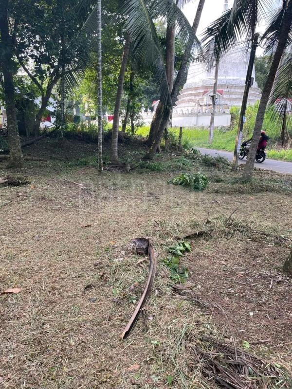 Residential Land for Sale in Kottawa