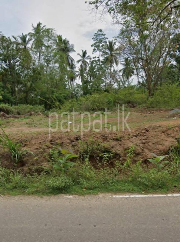 Commercial Land for Sale in Beliatta ads-image-1