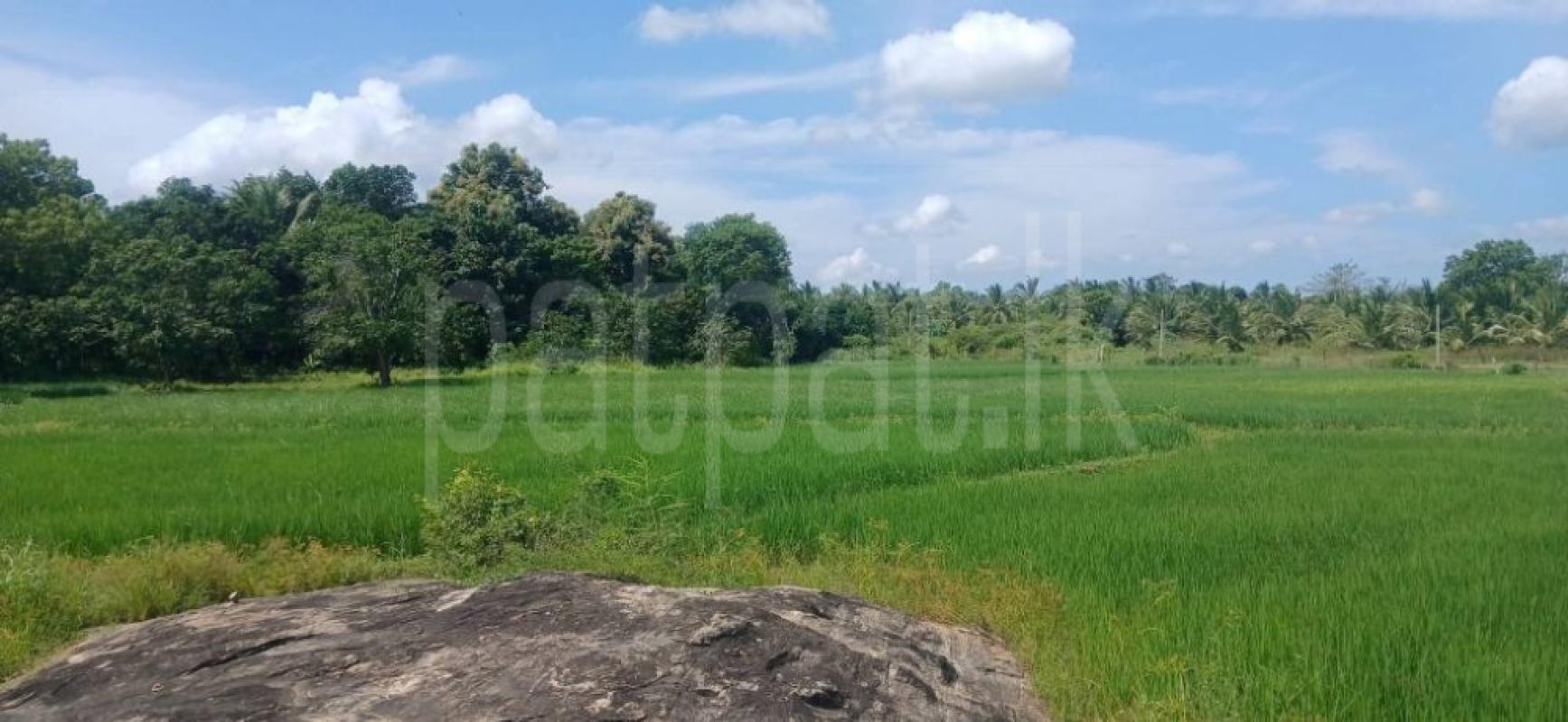 Residential Land for Sale in Kataragama ads-image-1