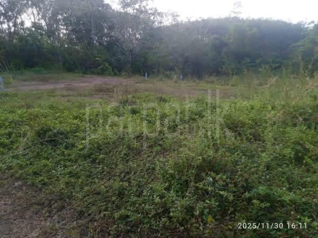 Agricultural Land for Sale in Kahathuduwa ads-image-1