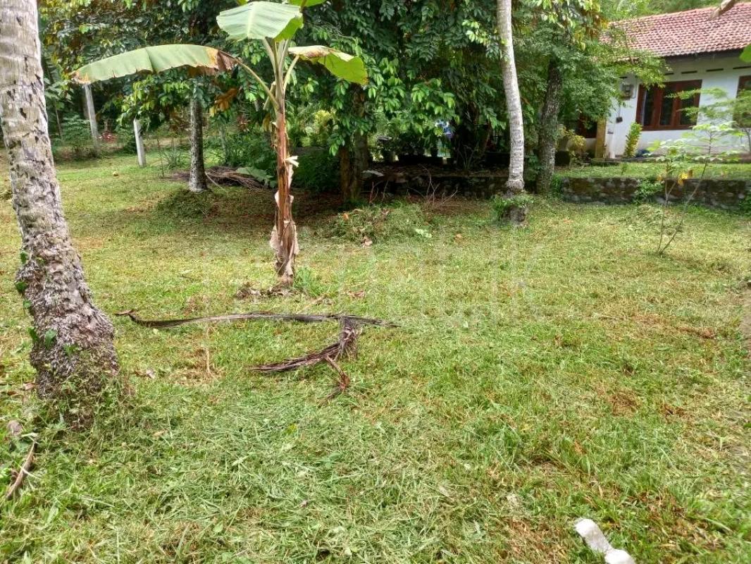 Agricultural Land for Sale in Gampola