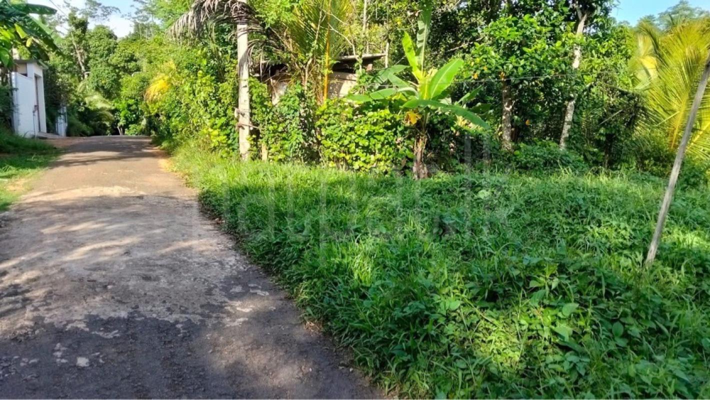 Residential Land for Sale in Galle