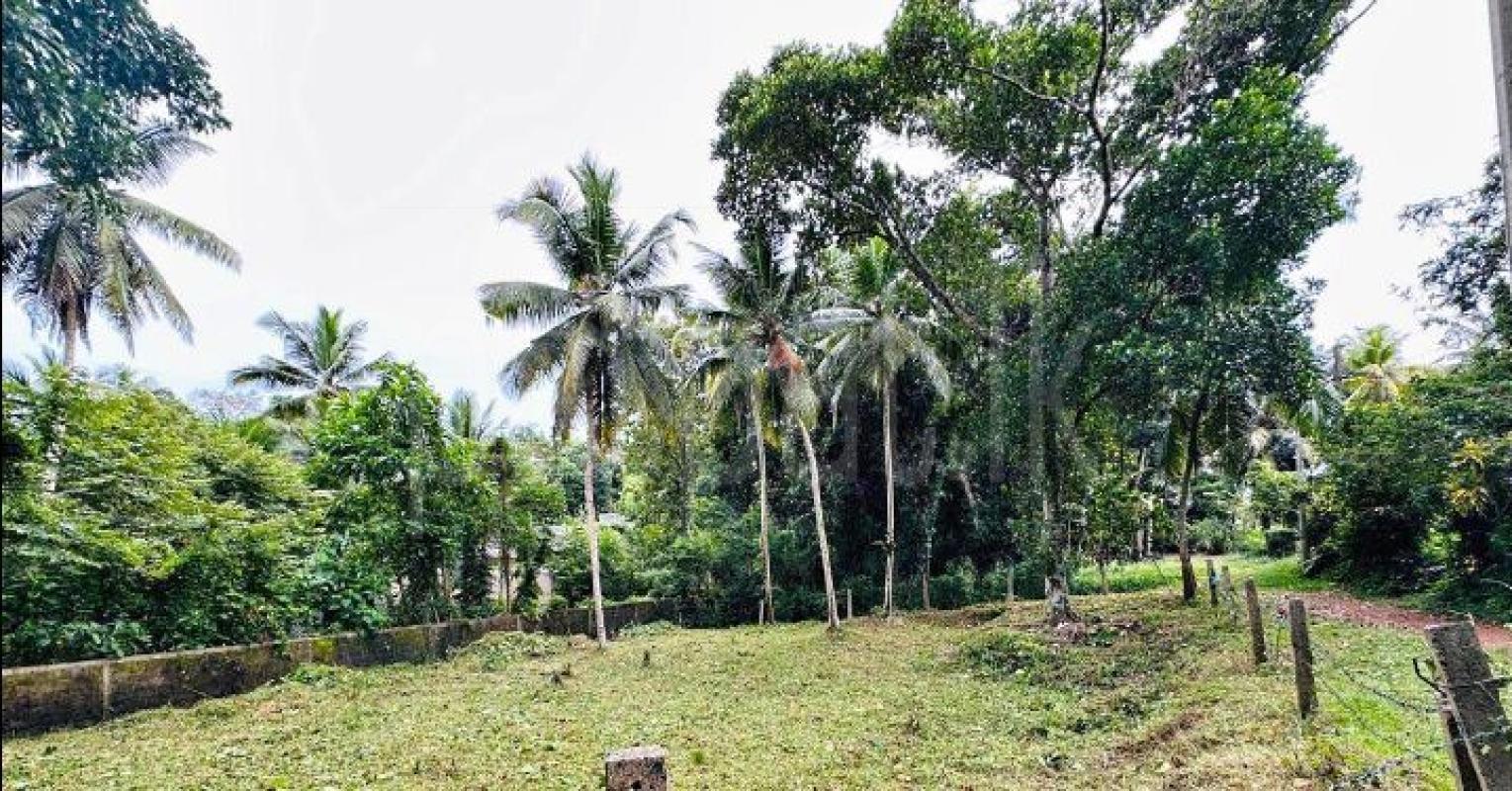 Residential Land for Sale in Panadura ads-image-1