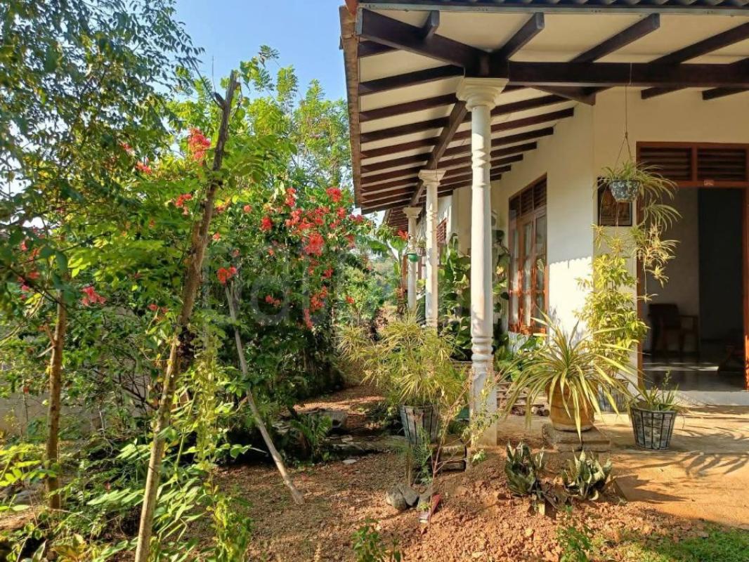 House for Sale in Kesbewa ads-image-1