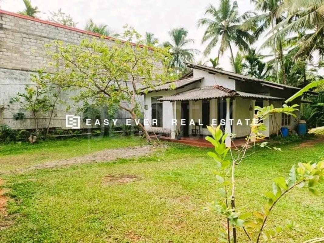 Commercial Land for Sale in Nittambuwa ads-image-1