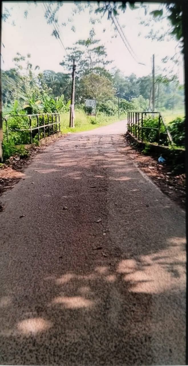 Agricultural Land for Sale in Kalutara ads-image-1