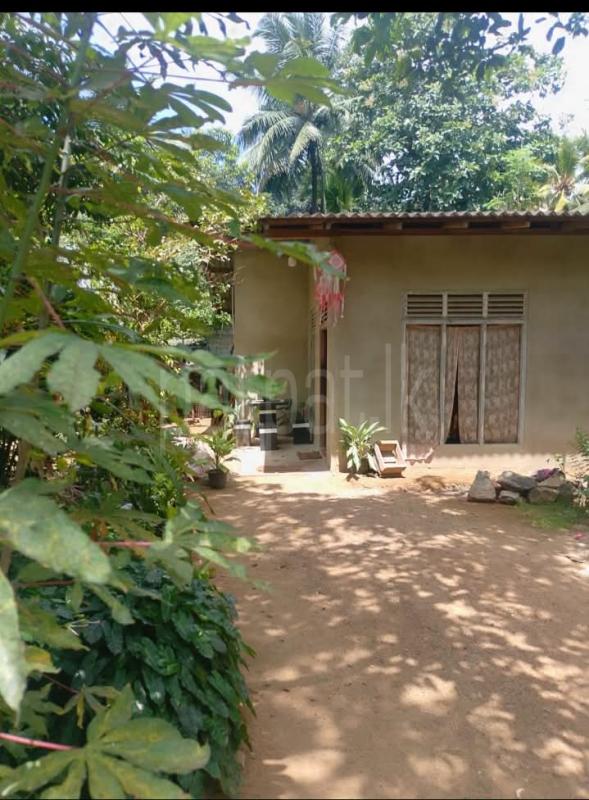 House for Sale in Kiriwattuduwa