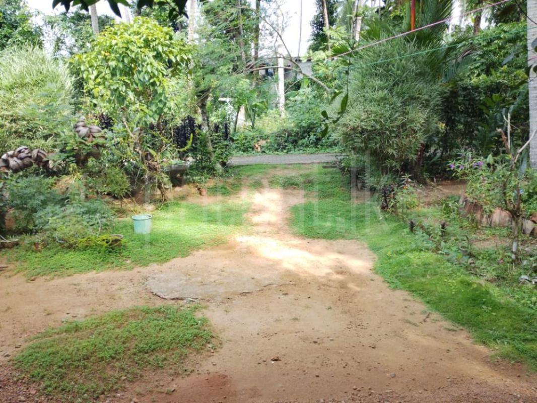 House for Sale in Horana ads-image-1