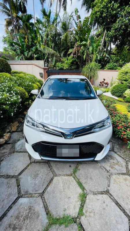 Advertisement image 1