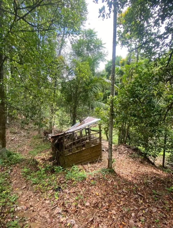 Agricultural Land for Sale in Pujapitiya