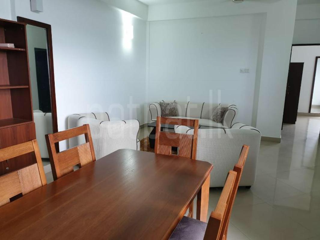 Furnished Apartment for Rent in Mount Lavinia ads-image-1