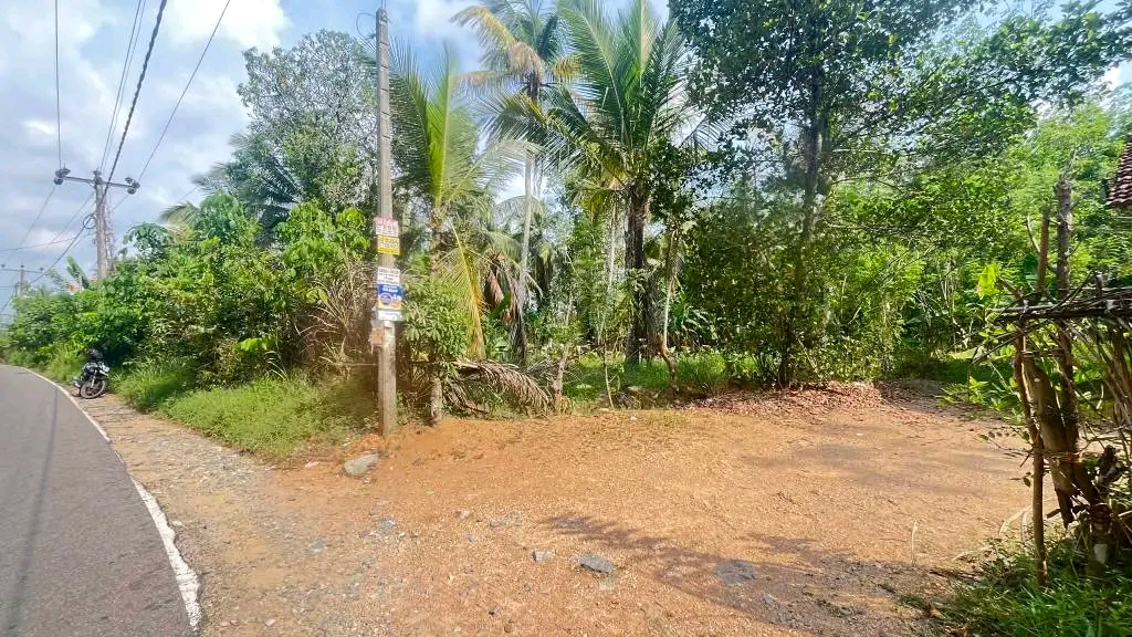Commercial Land for Sale in Ja-Ela