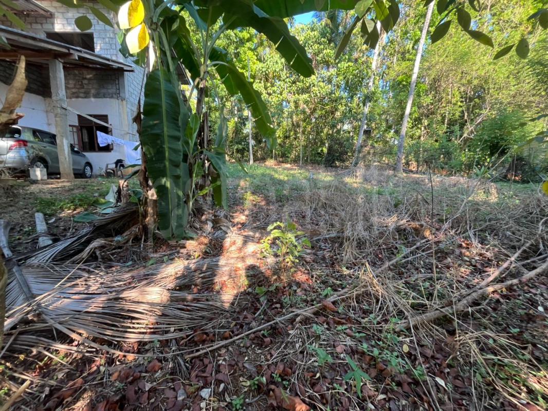 Commercial Land for Sale in Rambukkana