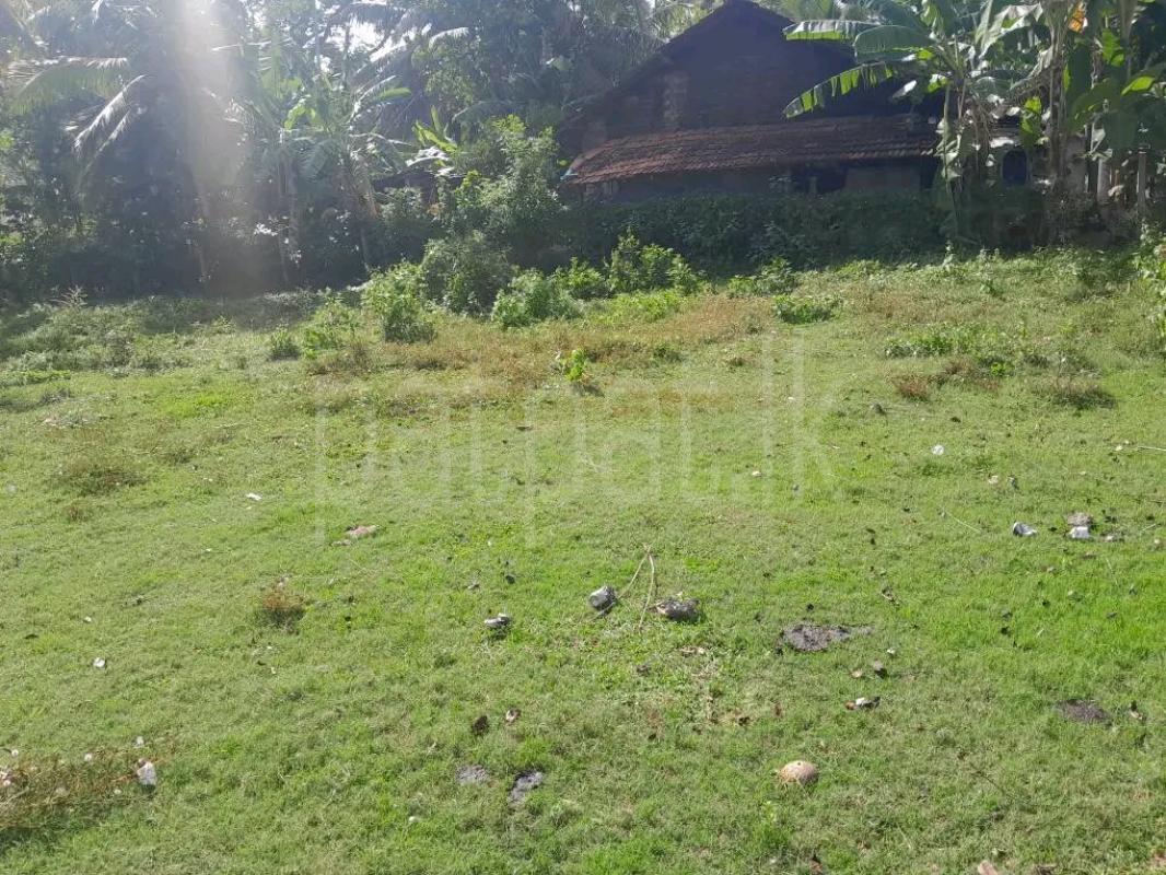 Agricultural Land for Sale in Maho