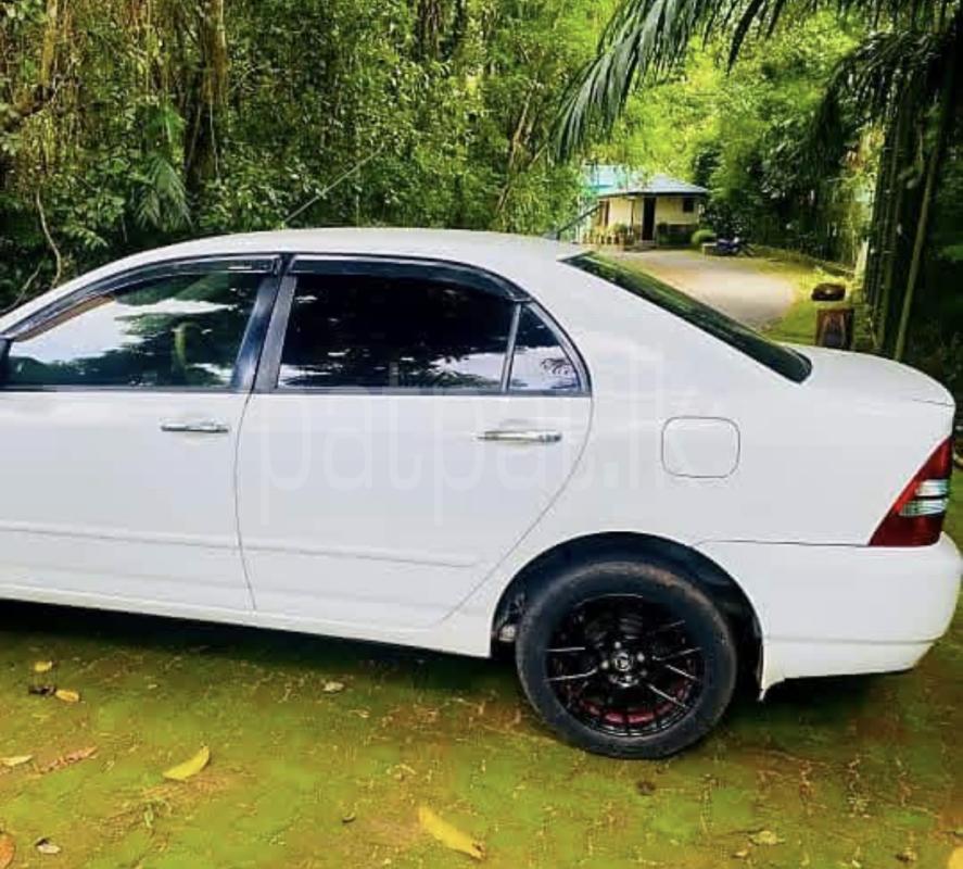 Toyota Corolla 2006 - භාවිතා කරන ලද කාර් sale in Sri Lanka - patpat.lk