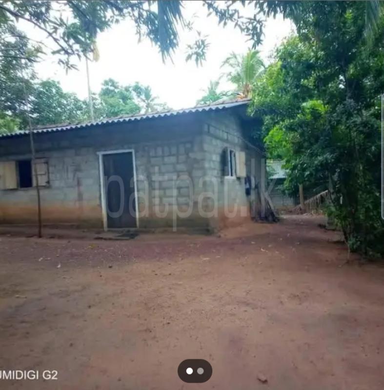 House for Sale in Divulapitiya