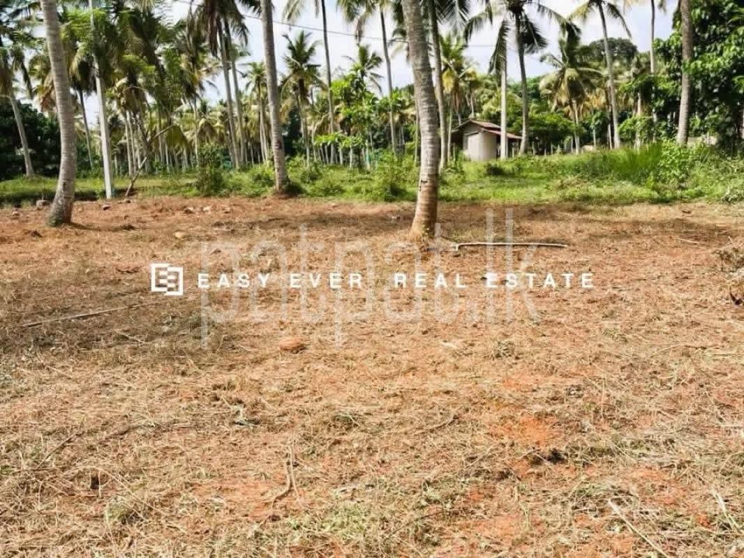 Agricultural Land for Sale in Udugampola ads-image-1