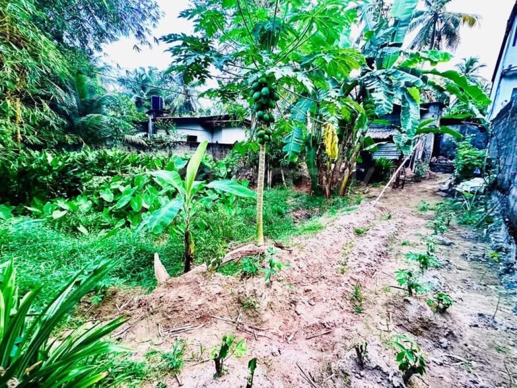 Residential Land for Sale in Homagama