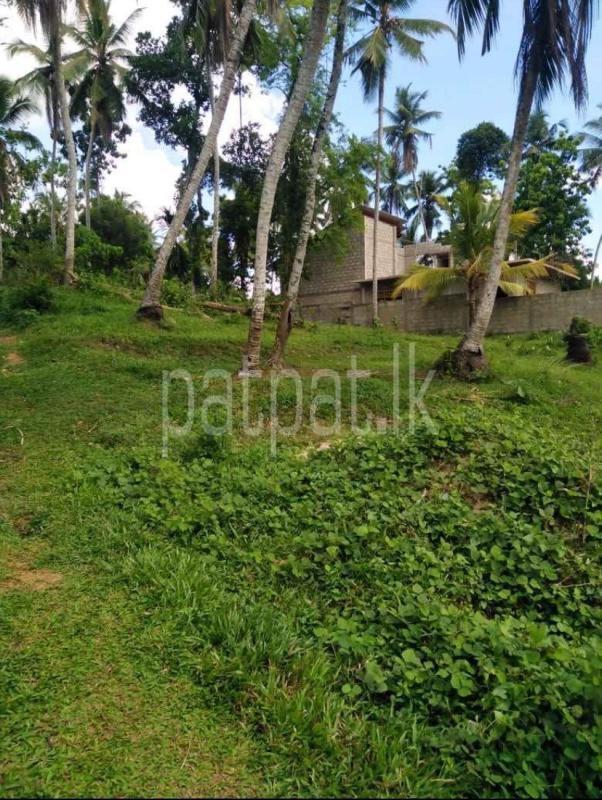 Advertisement image 1