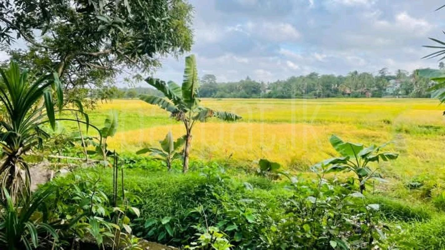 House for Sale in Malabe