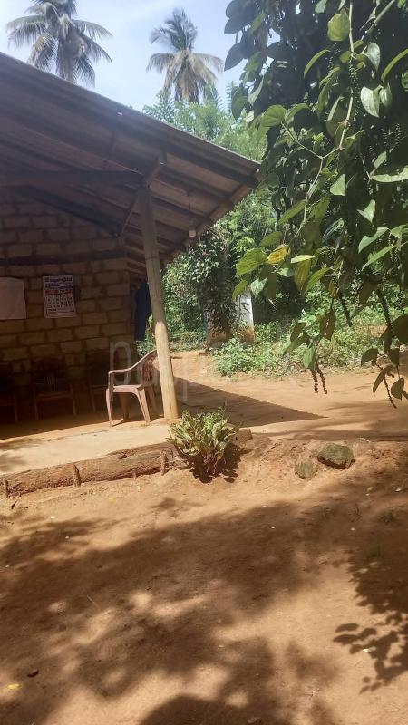 Agricultural Land for Sale in Weeraketiya
