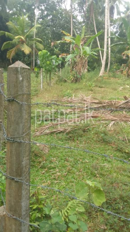 Advertisement image 1