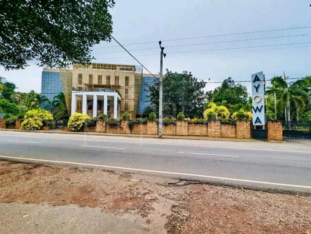 Advertisement image 2