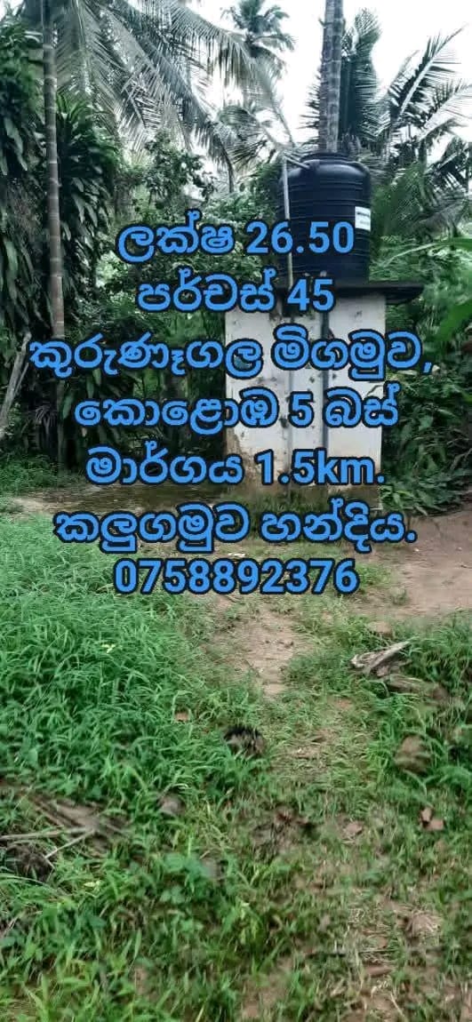 Commercial Land for Sale in Kalugamuwa ads-image-1