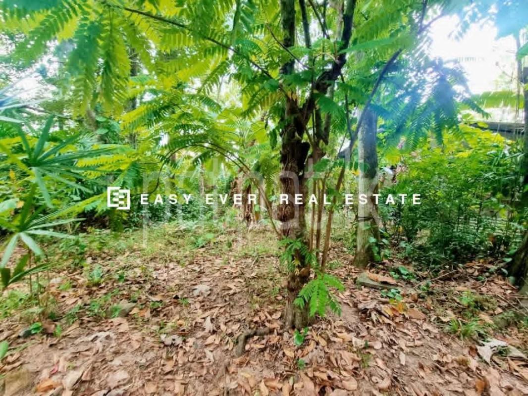 Residential Land for Sale in Katunayake