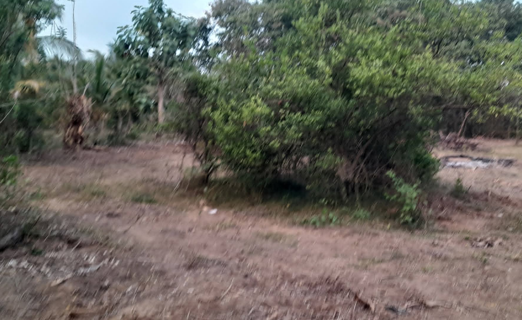 Residential Land for Sale in Tangalla