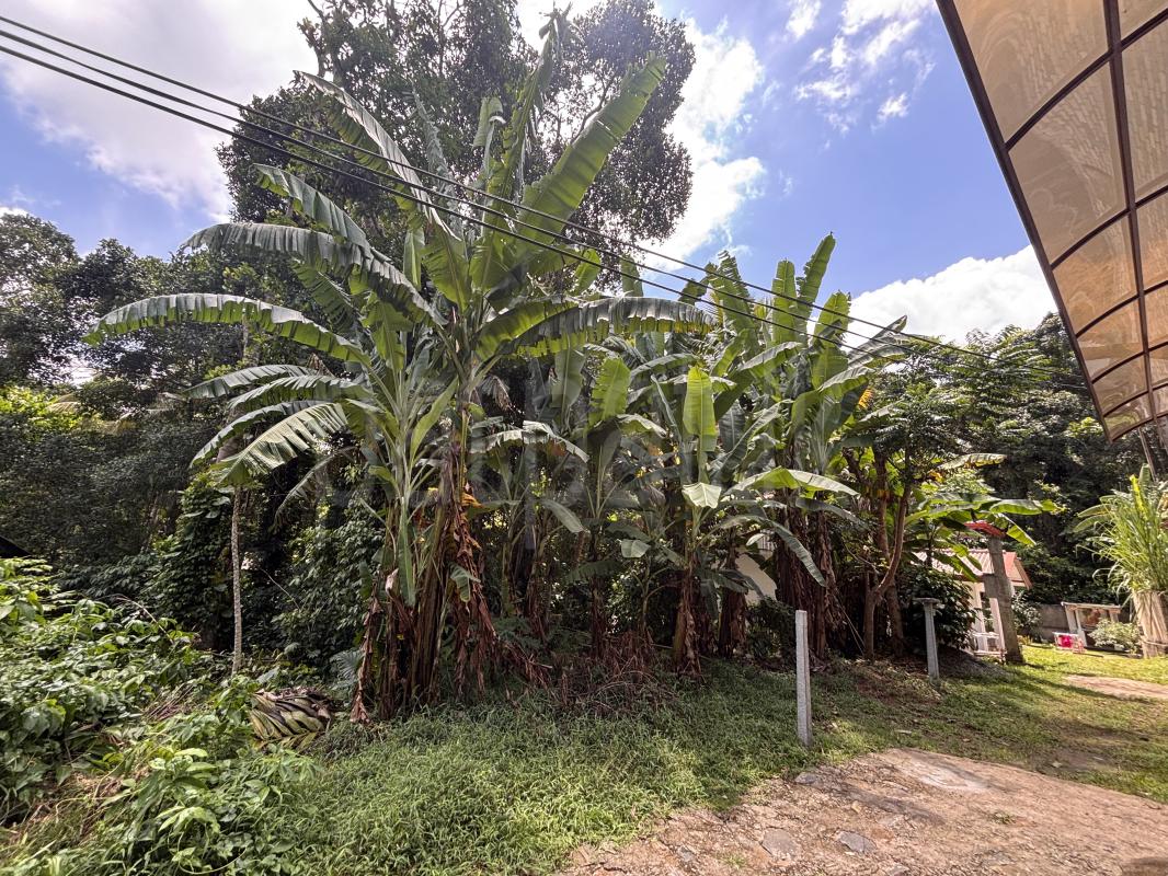Residential Land for Sale in Kundasale