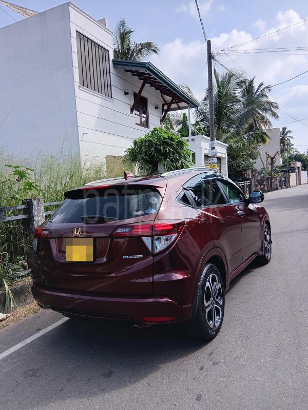 Advertisement image 3