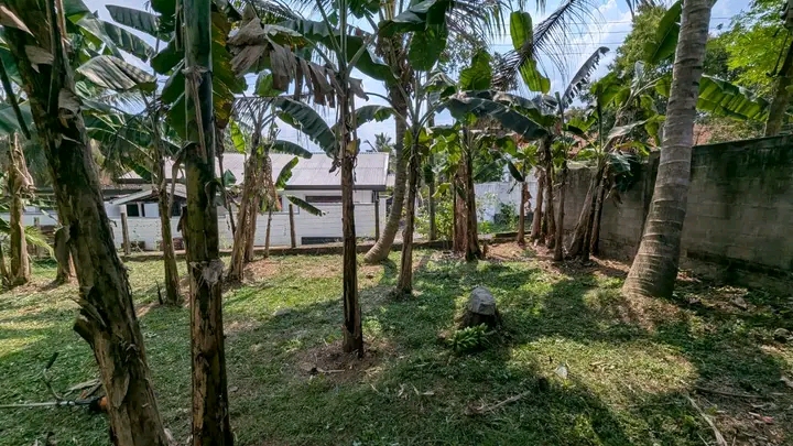 Commercial Land for Sale in Weliveriya