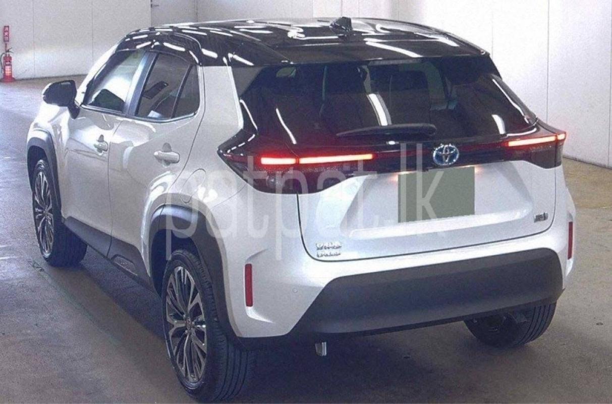 Advertisement image 2