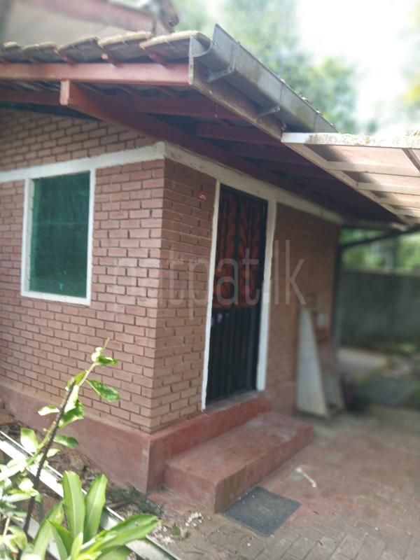 House for Rent in Piliyandala