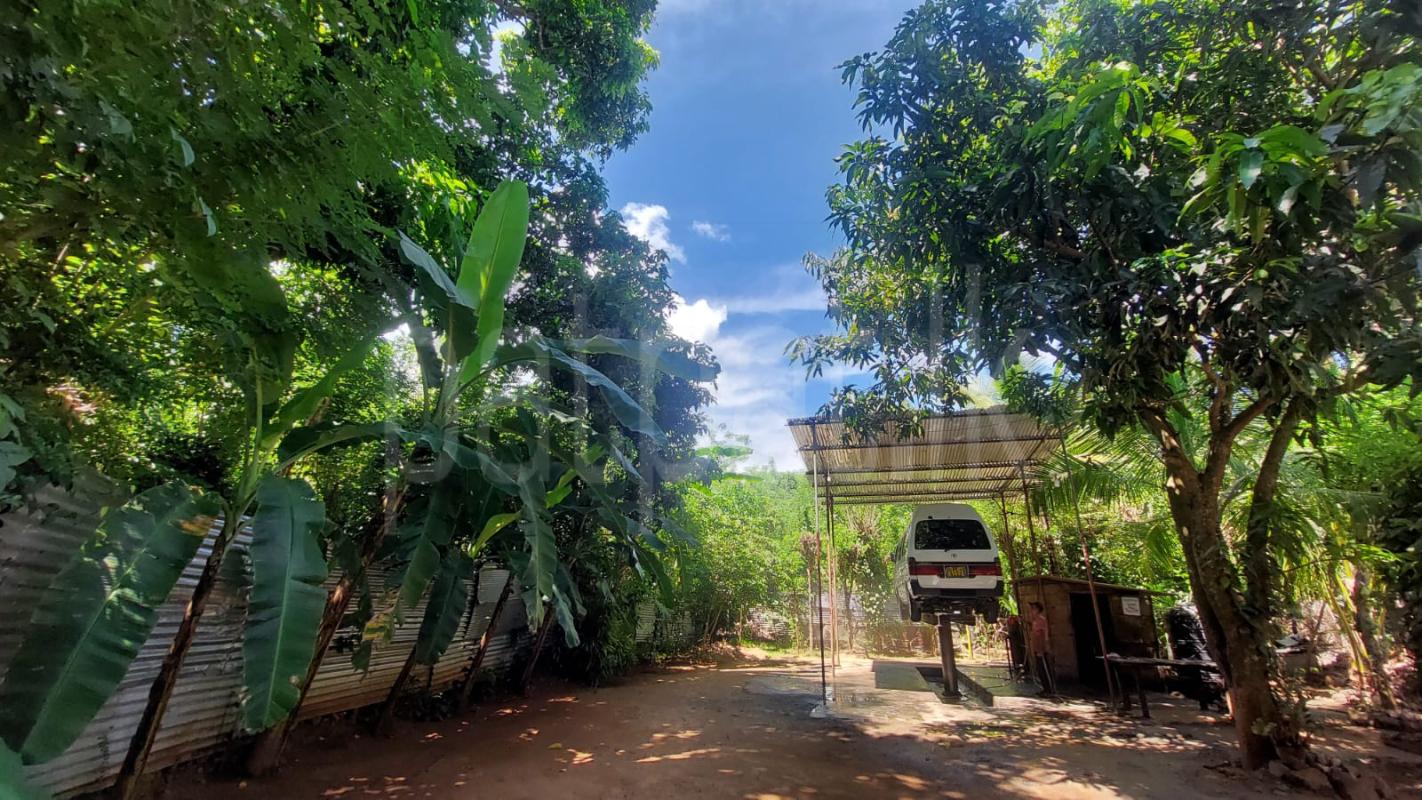 House for Sale in Udawalawe