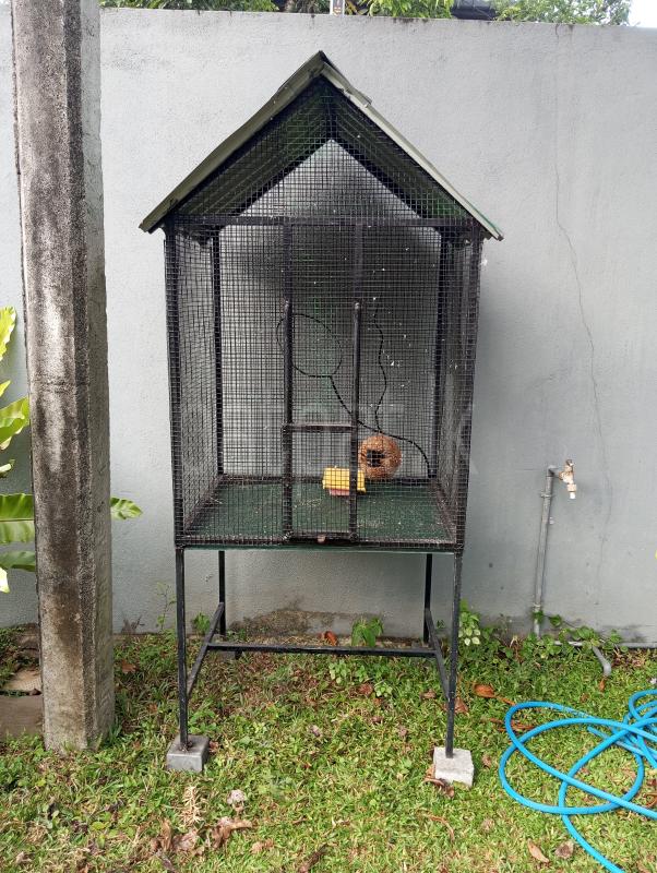 Advertisement image 4