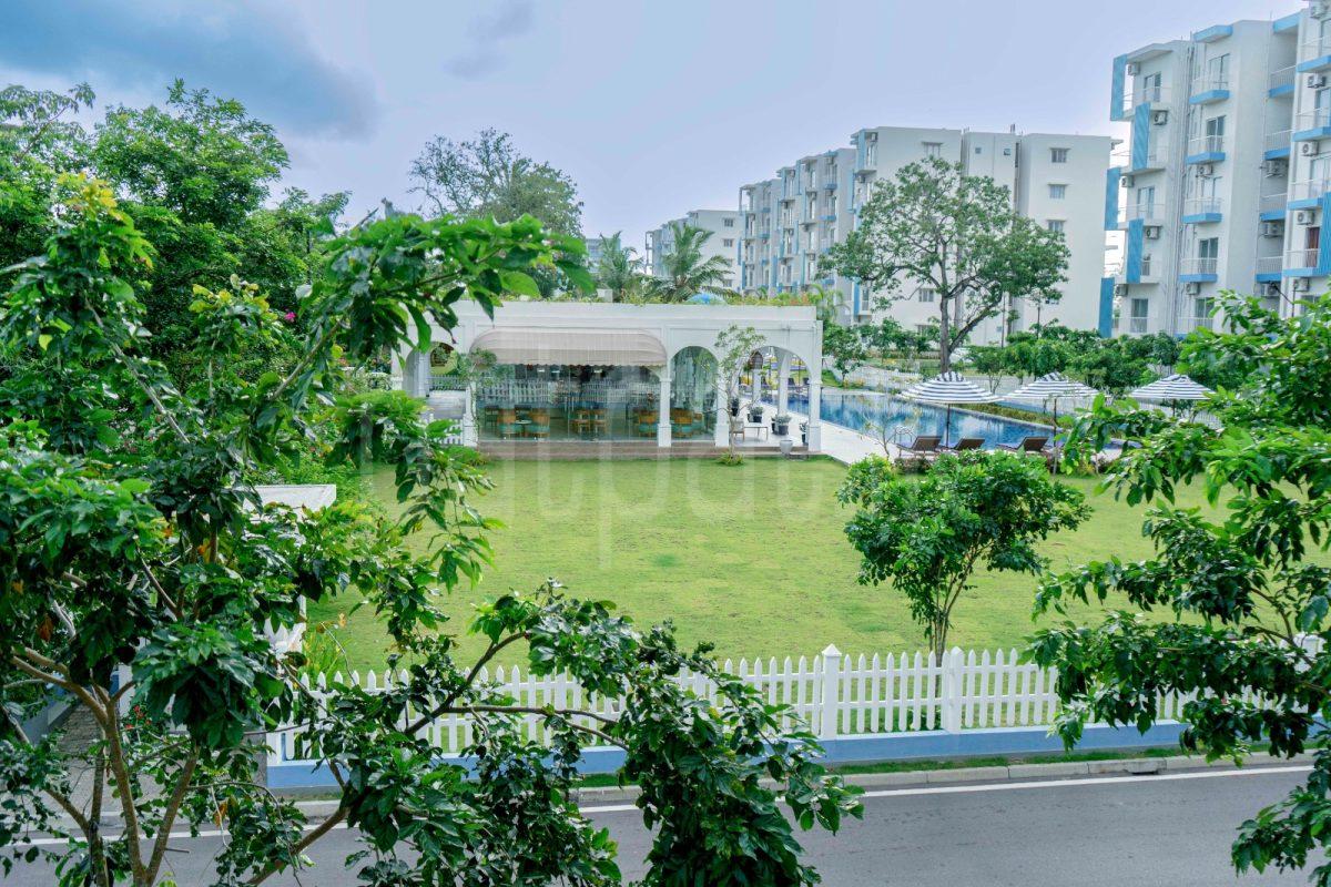 Advertisement image 6