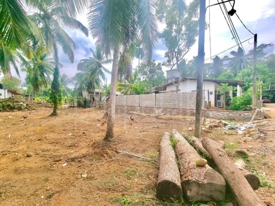 Commercial Land for Sale in Gampaha