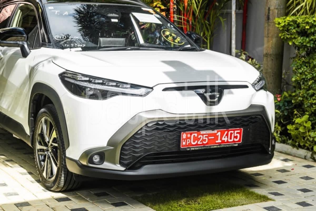 Advertisement image 2