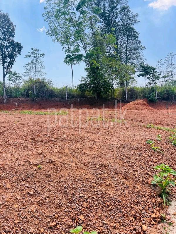 Commercial Land for Sale in Kosgoda