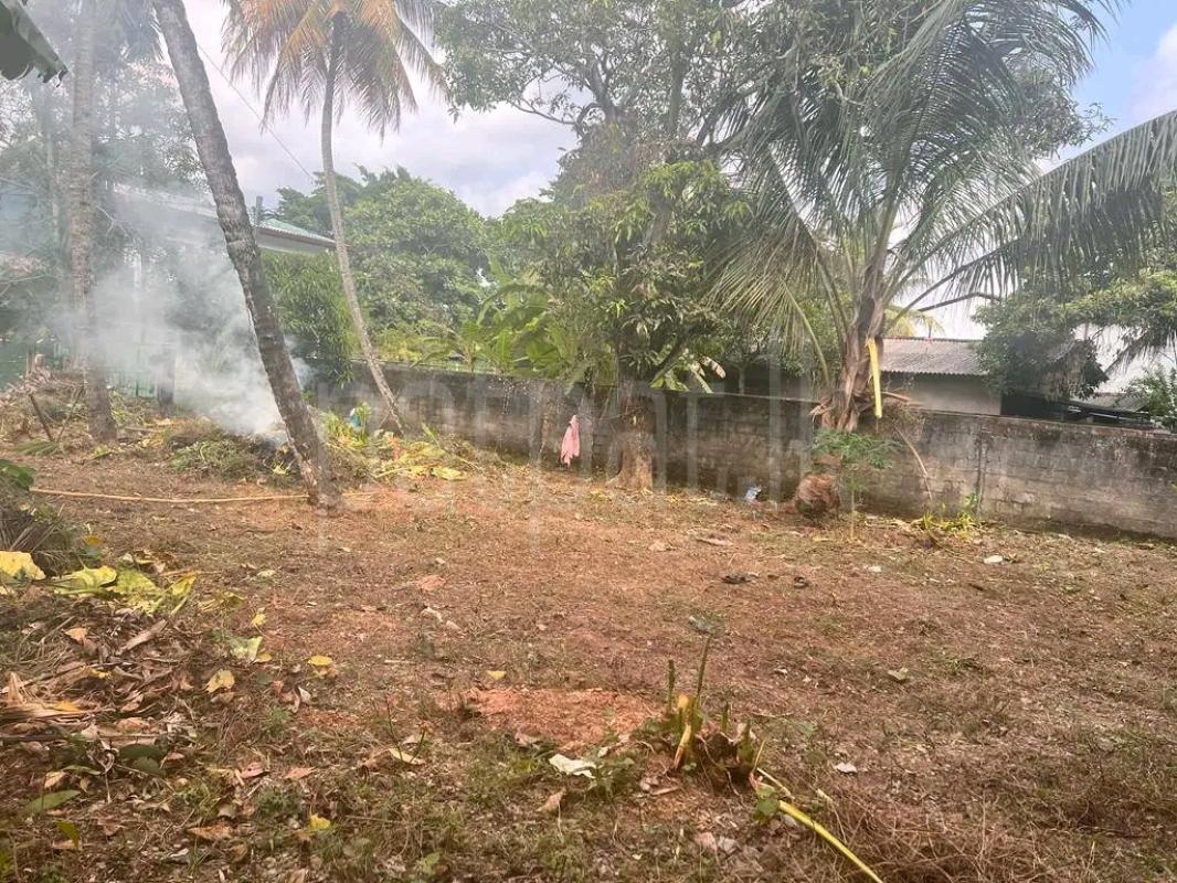 Commercial Land for Sale in Kandana